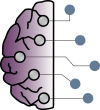 BrainNetwork